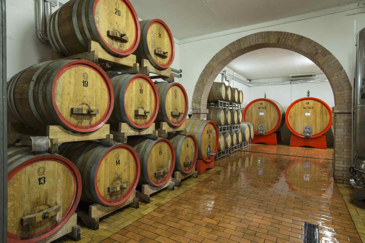 Brunello-di-Montalcino.jpg