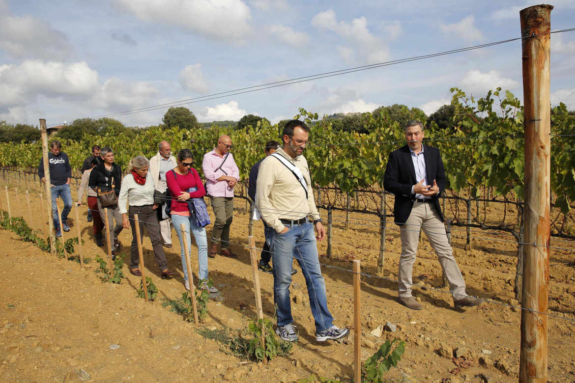 Brunello-di-Montalcino-Sassocheto-scaled.jpg
