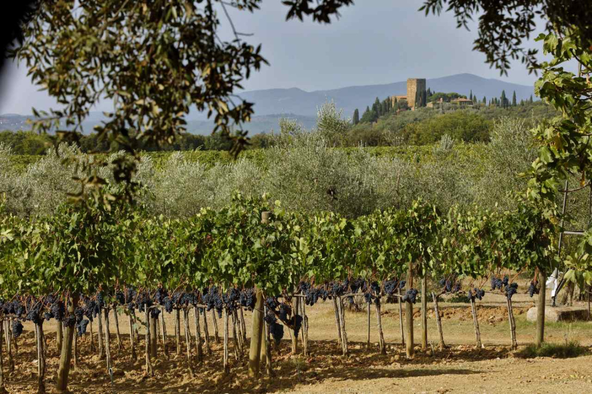 Castello-di-Argiano-Montalcino.jpg