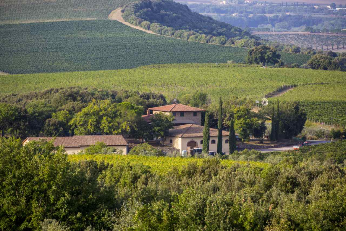 Il-Grappolo-Montalcino.jpg