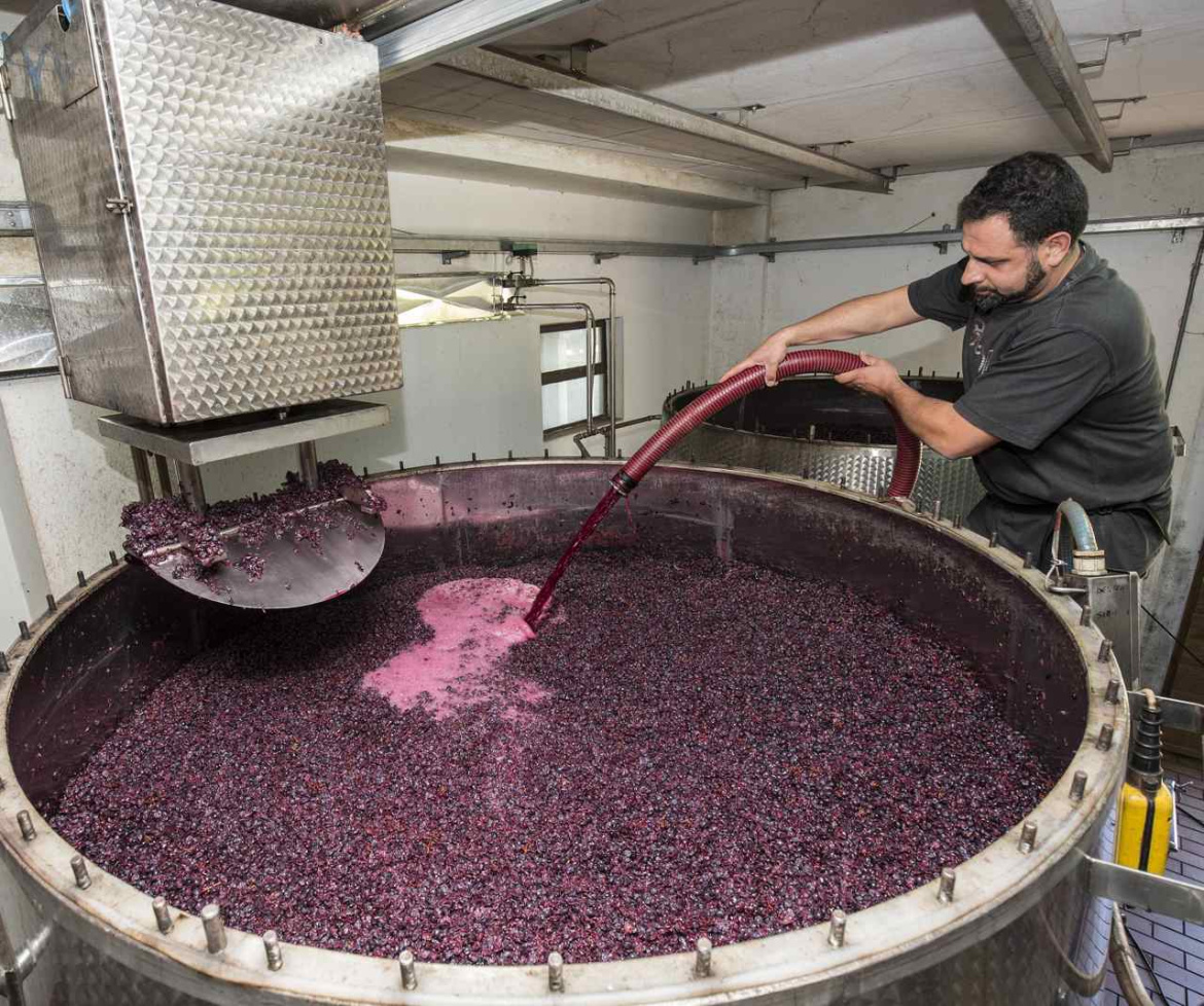 Riserva-Brunello-di-Montalcino.jpg