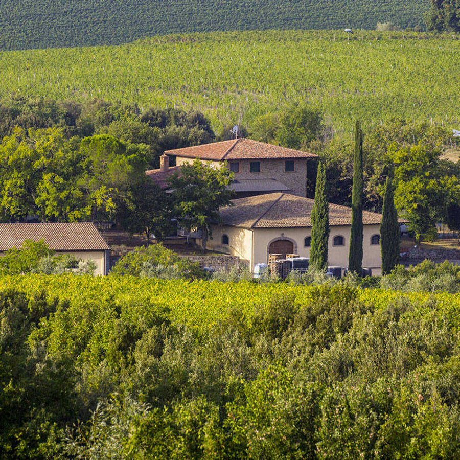 home-azienda-1.jpg